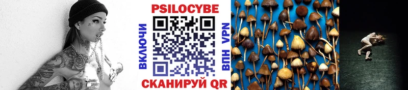 Купить где Меленки Галлюциногенные грибы Cubensis